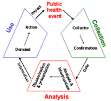 Illustration of the cycle of data collection, analysis and use in response to a public health event.