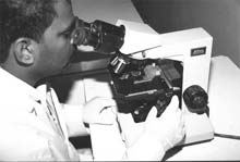 Photo of a research technician in India looking into a microscope.