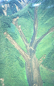 Scars of landslides that merged together to form lahar on June 6, 1994