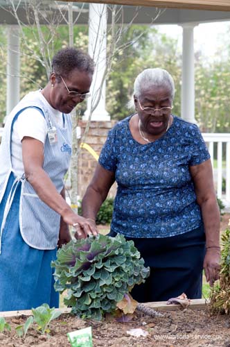 On April 1, 2008, Senior Companion Euphina Irvin takes a walk with client Costella Black outside her home in North Charleston, South Carolina.