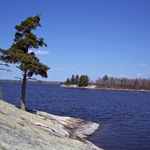 Rocky Outcrop