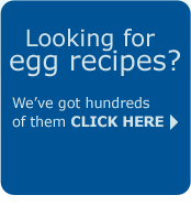 search for recipes