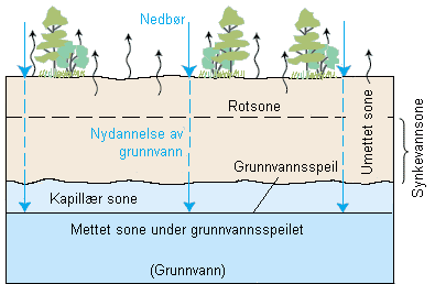 Diagram showing how precipitation water seeps into the ground. 
