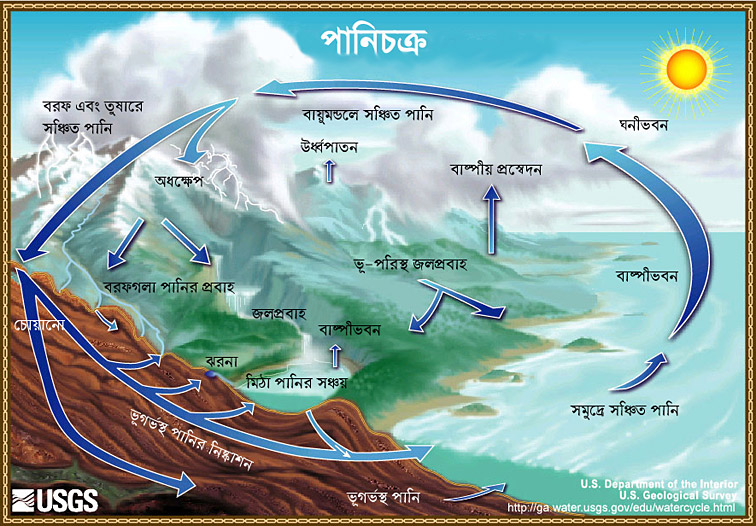 The Water Cycle, Bengali. 