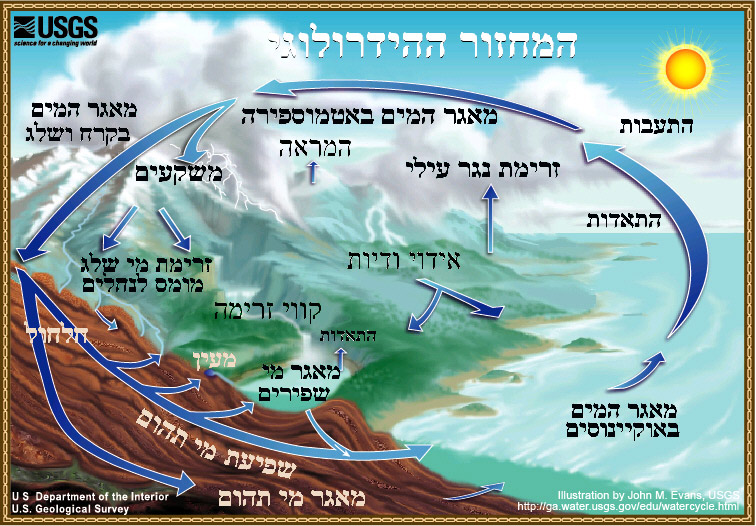 דיאגרמה
של המחזור
ההידרולוגי (Diagram of the water cycle, in Hebrew). 
