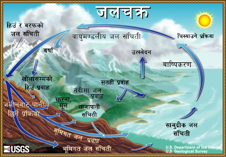 Diagram of the water cycle. 