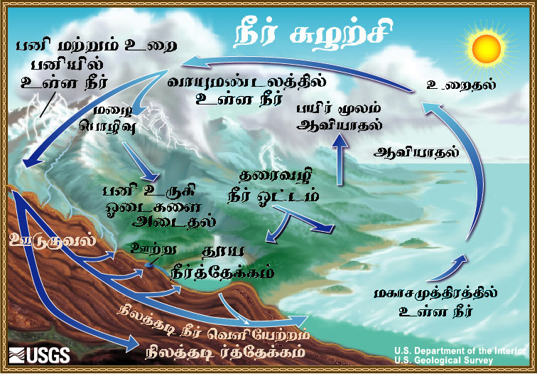 Diagram of the water cycle. 