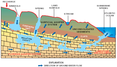 Diagram showing the geology of springs and spring formations in an example of the Floridan aquifer system in Florida. 