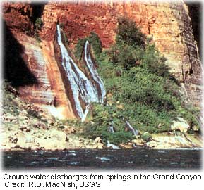 Picture of ground water discharging as springs in the wall of the Grand Canyon, Arizona, USA. 
