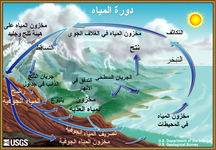 رسم
تخطيطي لدورة
المياه (Diagram of the water cycle in Arabic). 