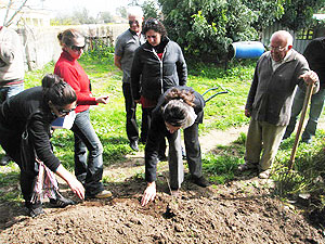 Composting puts organic waste to productive use for residents of pilot households in Beyarmudu/Pergamos.