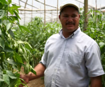 USAID promotes organic farming