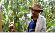 Salvadoran farmers improve their crops and lives with new skills - Click to read this story