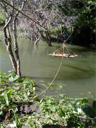 In a preparedness drill in Honduras, a person stranded by flooding is rescued by community members.