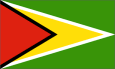 Flag of Guyana