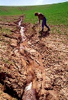 photo of soil erosion