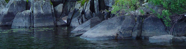 Shoreline of Locator Lake