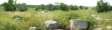 Prairie landscape with outcropping of quartzite rocks