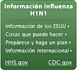 Información Influenza 2009