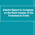 Interim Report to Congress on the Root Causes of the Foreclosure Crisis