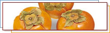 Photo of Persimmons