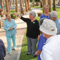 Older adults ensured that persons of all abilities had access to parks and the beach for exercise 