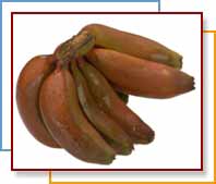 Photo of red bananas