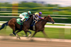 Two mounted jockeys racing on a track