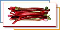 Photo of red rhubarb