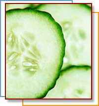 Photo of cucumbers