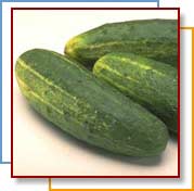 Photo of cucumbers