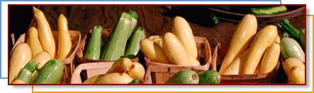 Photo of assorted squash