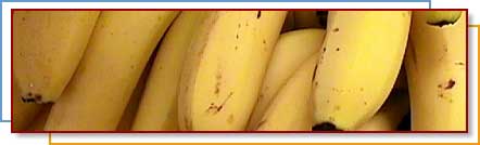 Photo of bananas