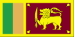 The Sri Lanka flag is yellow with two panels; the smaller hoist-side panel has two equal vertical bands of green (hoist side) and orange; the other panel is a large dark red rectangle with a yellow lion holding a sword, and there is a yellow bo leaf in each corner; the yellow field appears as a border around the entire flag and extends between the two panels.