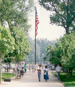 Image of USA flag displayed at the Vietnam Veterans Memorial.