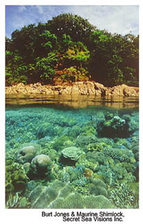 Coral reef landscape with land and trees in the background. Photo source: Burt Jones and Maurine Shimlock, Secret Sea Visions, Inc.