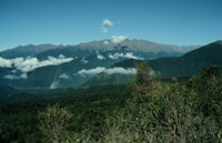 Photo of Forest/mountain range in Bolivia