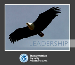 TSA graphic of eagle flying