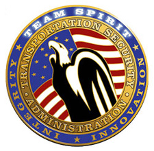 TSA Team Spirit logo