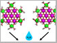 new nanocluster