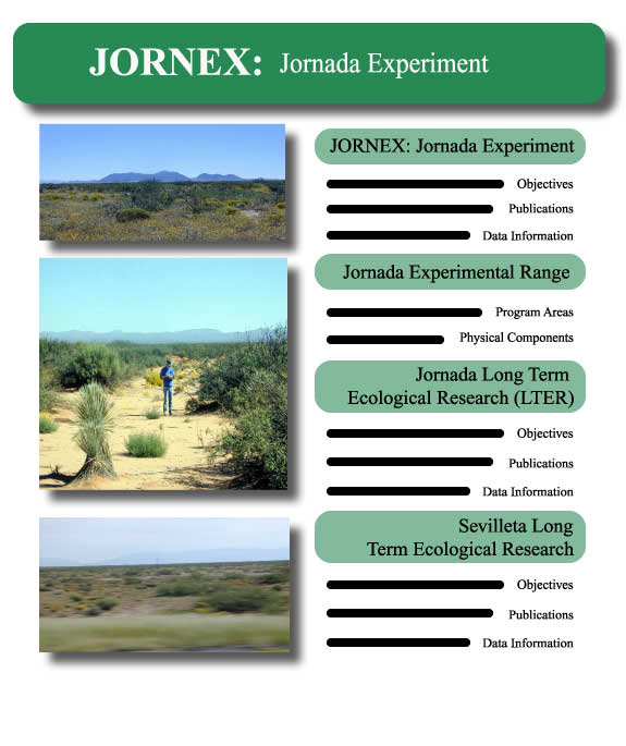 JORNEX: Jornada Experiment