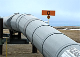 Section of above ground pipeline