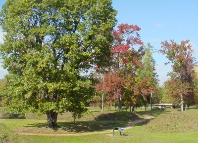 Autumn at the Fort Harrison interpretive trail