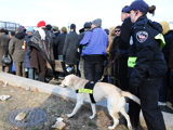 Photo of canine at inauguration