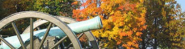 Cannon with fall colors