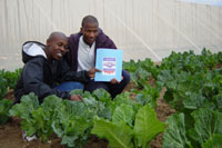 Photo of food garden run by a community group in South Africa.