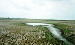 Hail Haor wetlands in 1999. Over the last 150 years, approximately 50 percent of dry season wetlands have disappeared, resulting in lower fish production. Environmental changes, such as flood embankments and large silt deposits have reduced the area and quality of Bangladesh’s water bodies.