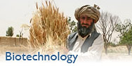 photo, biotechnology header