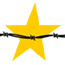 Friends of Andersonville logo with star and barbed wire