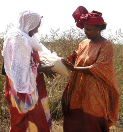 Aya Ndiaye and Bineta Coly Gueye of Wula Nafaa examine the quality of a sack of fonio. Photo: USAID/Brook Johnson